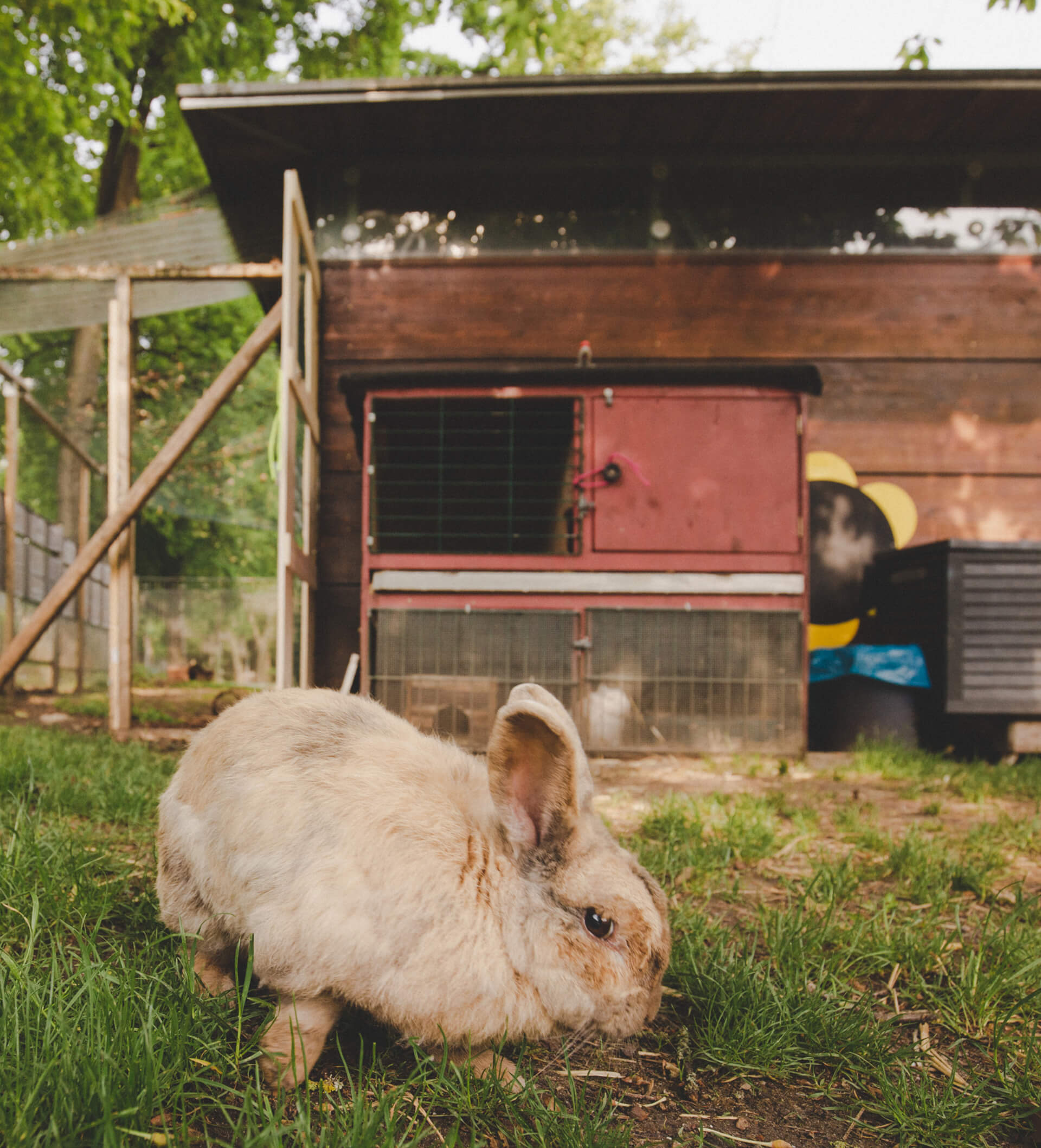 servusKids Einrichtung