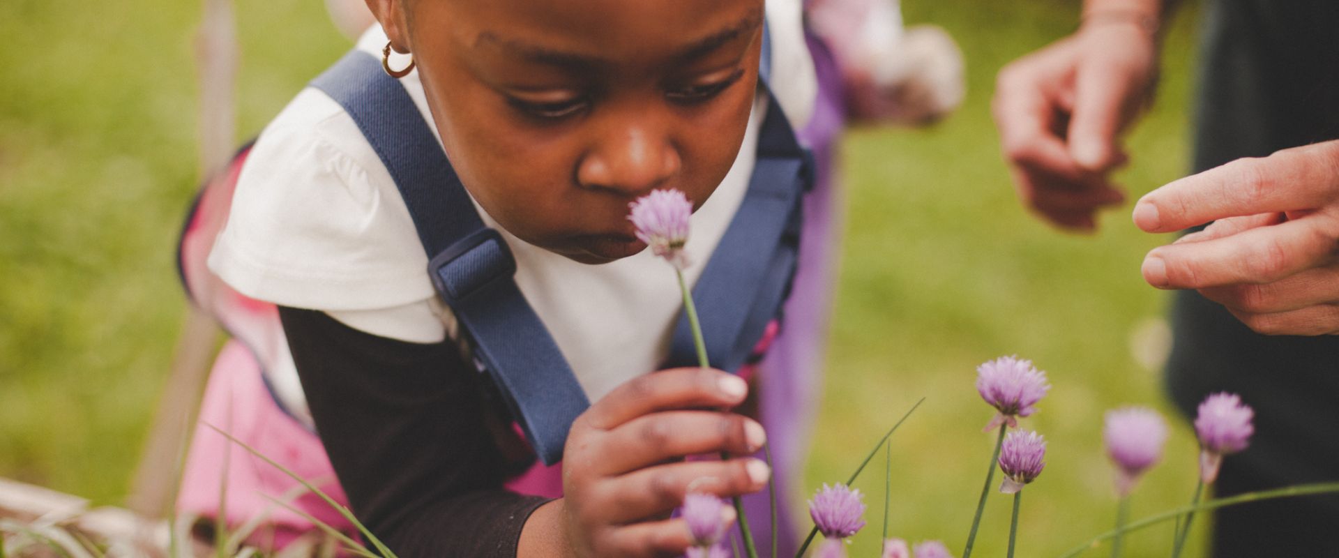 Header Bilder Umweltprojekt 2 Website