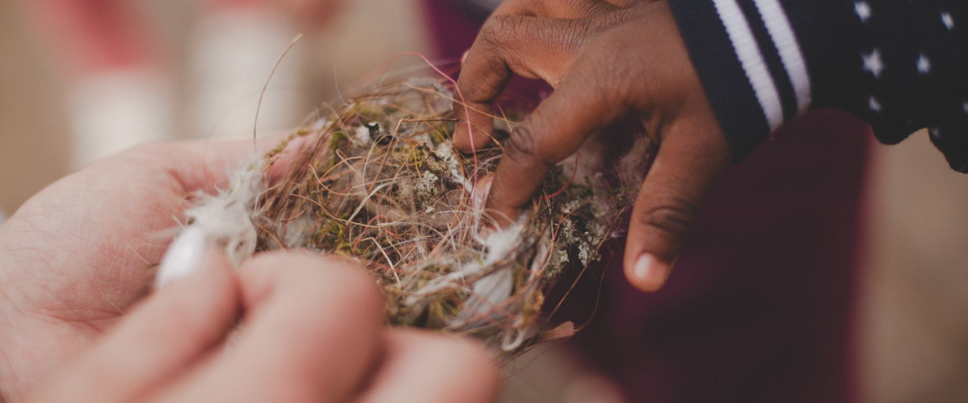 Header Bilder Umweltprojekt Website